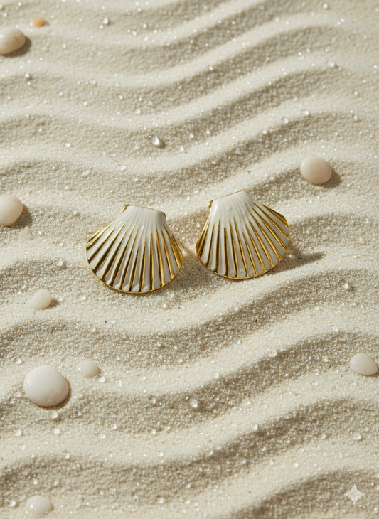 Clam Shell Classics